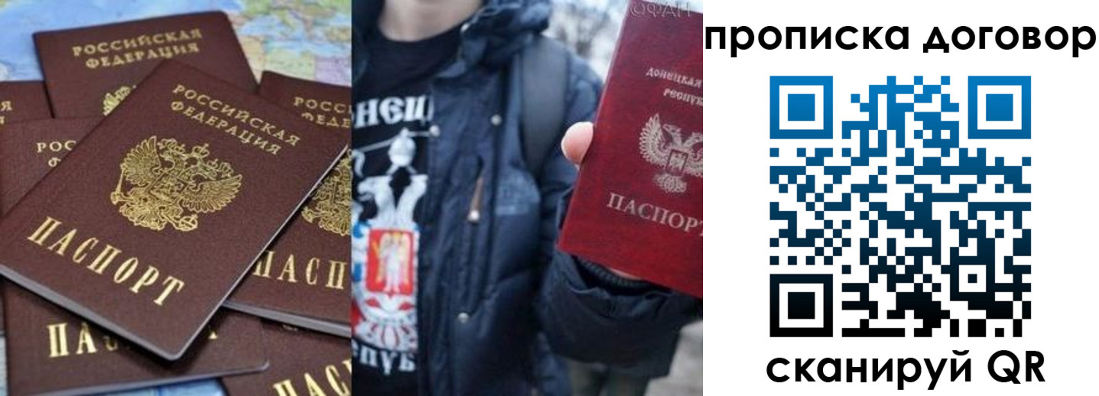 прописка поиск в Ростове